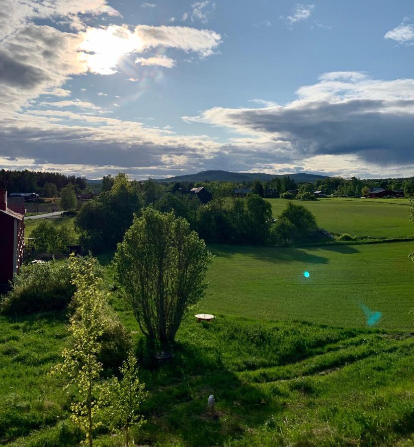 Apartament Haga Betong Enånger Zewnętrze zdjęcie